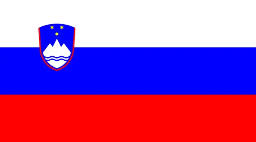 Slovenya Vizesi