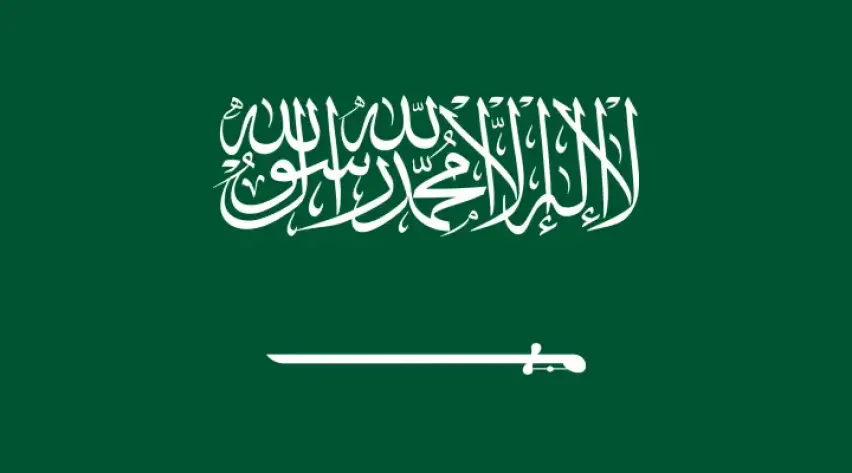 Suudi Arabistan Vizesi